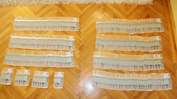Százmilliós pénzmosókat fogtak el a rendőrök