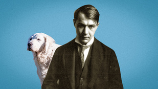 Kutya, macska, mókus – a legnagyobb magyar írók kedvenc állatai