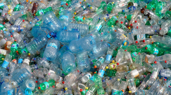 Több műanyag lenne az Adriában, mint hal