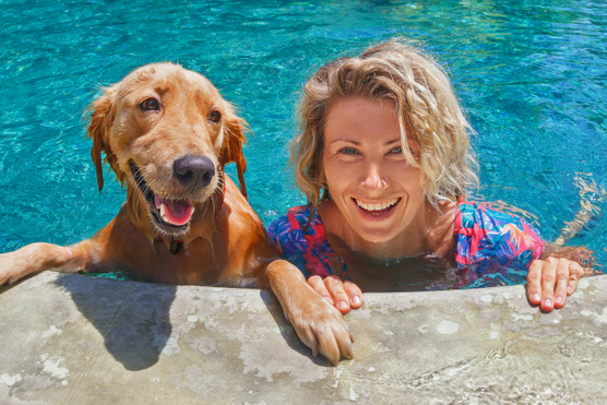 Ezekre a szabályokra figyelj, ha úszni vinnéd a kutyád