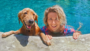 Ezekre a szabályokra figyelj, ha úszni vinnéd a kutyád