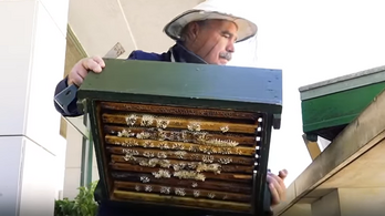 A miniszter szerint ez a jövő, méheket költöztettek az Agrárminisztériumba