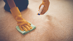 Foltos szőnyeg tisztítása: 10 kipróbált tipp egy profi szőnyegtisztítótól