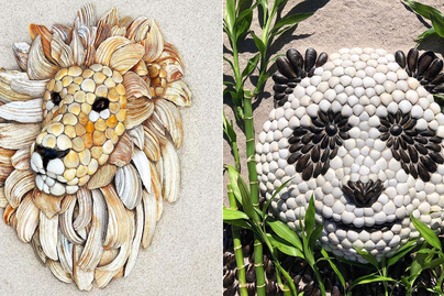 Gyönyörű állatportrékat készít tengerparton talált kagylókból: egy hétbe is telhet, míg elkészül egy oroszlán