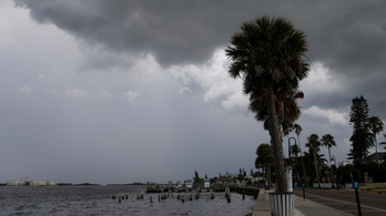 Milliók várják rettegve, hogy az Elsa hurrikán milyen pusztítást hoz Floridára