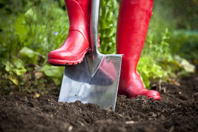 Ezért áss el egy rongyot a kertben: hamarosan megtudod, milyen minőségű benne a talaj