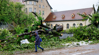 Ömlött az eső, dőltek a fák – lecsapott az ítéletidő Zürichre