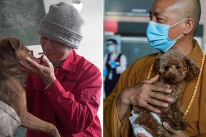 8 ezer kutyát mentett meg a biztos haláltól a sanghaji szerzetes: 27 éve ad helyet nekik a kolostorban