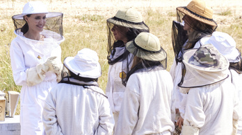 Angelina Jolie személyesen tüntette ki a jövő méhészhölgyeit