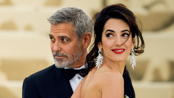Állítólag megint ikrei lesznek George Clooney-nak