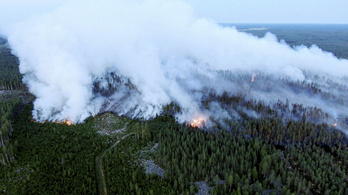 Ötödik napja lángolnak az erdők Finnországban