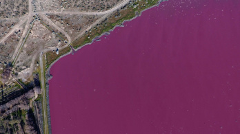 Rózsaszínű lett két tó Argentínában