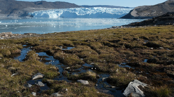 Ha Grönland jege eltűnik, hét méterrel emelkedhet a tengerszint