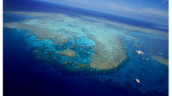 Dubajban félmillió négyzetméteres korallzátonyt növesztenek