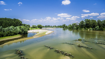 Pusztulnak a halak a Duna egyik mellékfolyóján