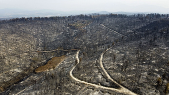 45 fok, kegyetlen tüzek – 13 éve nem volt példa ekkora pusztításra