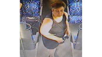 Nő támadt a kalauzra a leányvári vonaton