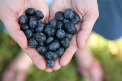 Rákmegelőző, szívvédő, és a memóriának is jót tesz: 4 bogyós gyümölcs, ami csodás hatással van a testre