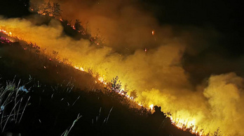 150 hektáron égett a fenyőerdő Bosznia-Hercegovinában