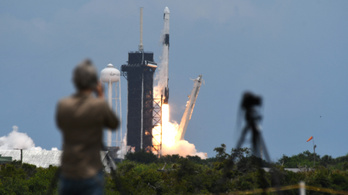 Hangyákkal a fedélzeten indul a SpaceX űrhajója a Nemzetközi Űrállomásra