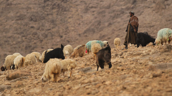 Afganisztánban a tálibok után jön az aszály, hétmillió embert fenyeget éhezés