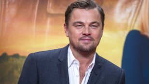 Túladna luxusvilláján Leonardo DiCaprio - Kukkantson be az álomotthonba!