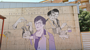 Falra festették Valenciában Karikó Katalint