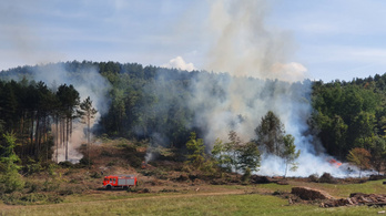Hatalmas küzdelem árán fékezték meg az erdőtüzet Szilvásváradon