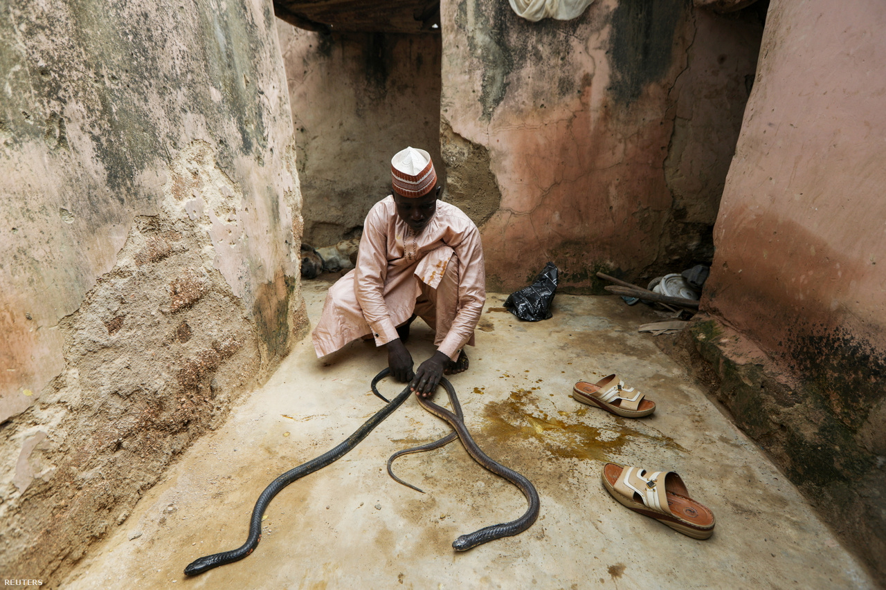 Kígyókat tart vissza Kawu. A kép a férfi otthonában készült.