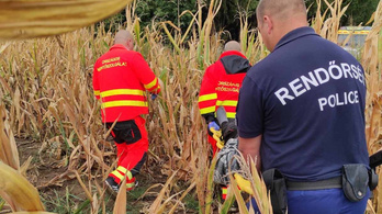 Eltűnt egy 79 éves férfi, a kukoricásban fekve találták meg
