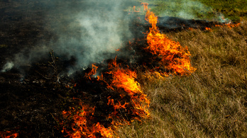 Füst és bűnhődés: szörnyű büntetés várhat az avarégetőkre