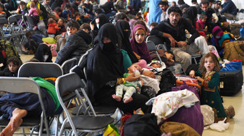 Publicus Intézet: a fideszesek 23 százaléka visszatoloncolná a tálibok elől menekülő afgánokat