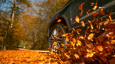 Autózás ősszel: 5 veszélyforrás, amiből könnyen baleset származhat