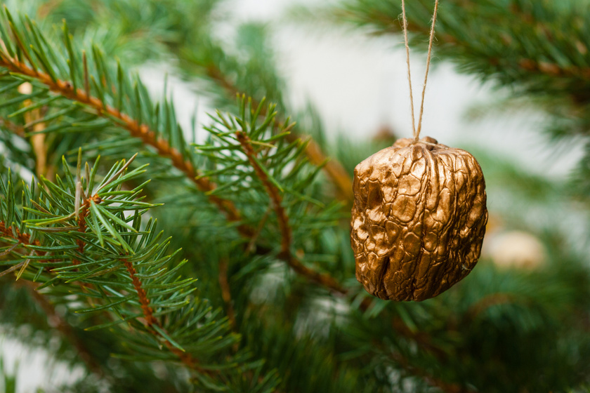 Miért tettek a régiek arany diót a karácsonyfára? Nem csak szerencsét és gazdagságot reméltek tőle