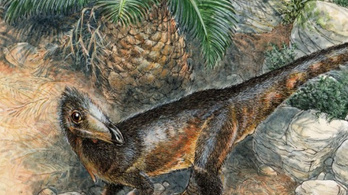 Felfoghatatlanul régi húsevő dinoszaurusz maradványait találták meg