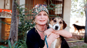 Brigitte Bardot elküldte a francba a budapesti vadászati kiállítást