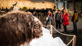 A vegán állatvédelem is szóba kerül a vadászati világkiállításon