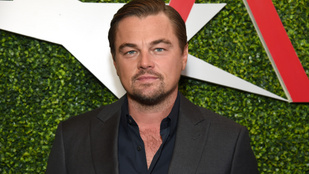 Újabb ingatlant tesz pénzzé Leonardo DiCaprio - lessen be a luxusnyaralóba!