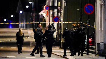 Íjból kilőtt nyílvesszőkkel gyilkolt meg több embert egy férfi Norvégiában