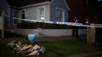 Terrorellenes szervek nyomoznak a brit képviselő meggyilkolása miatt