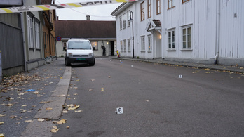 Vádat emeltek a Norvégiában nyíllal gyilkoló dán ámokfutó ellen