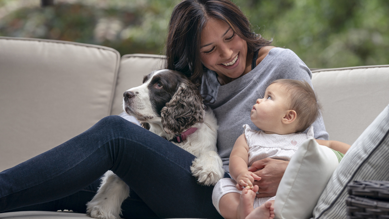 A kutyák hasonlóan tanulják a beszédértést, mint a csecsemők: a kutatók sem értik, hogyan alakulhatott ez ki