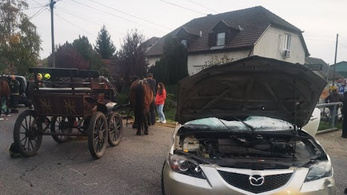 Ijedt ló ugrott egy autósra Vecsésen, többen kórházba kerültek