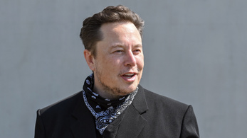 Elon Musk a Twitteren bocsátotta szavazásra, hogy eladja-e Tesla-részvényeinek tíz százalékát