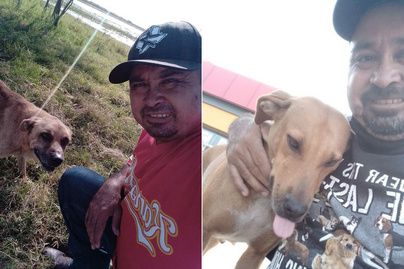 Megharapta a rettegő kutya, ő mégsem hagyta ott - A mexikói férfi története meghatotta az internetet