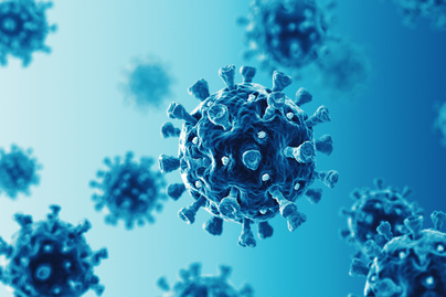 koronavírus-immunitás2