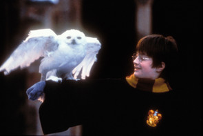 20 év után visszatérnek, de még mindig van, amit nem tudtál az első <i>Harry Potter</i>-filmről