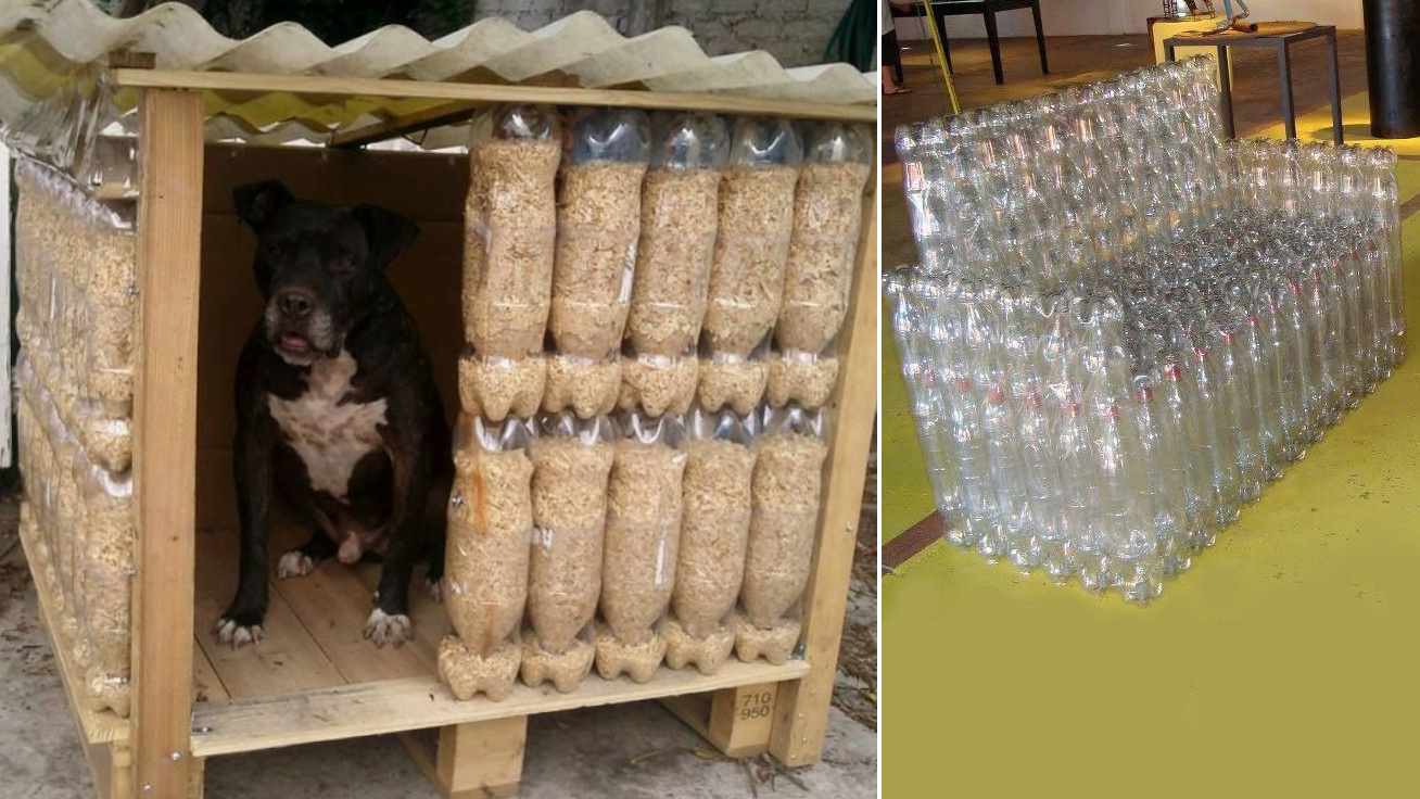 Kanapé, kutyaház és térelválasztó is készülhet PET-palackból: 12 szuper ötlet, amit nem nehéz utánozni