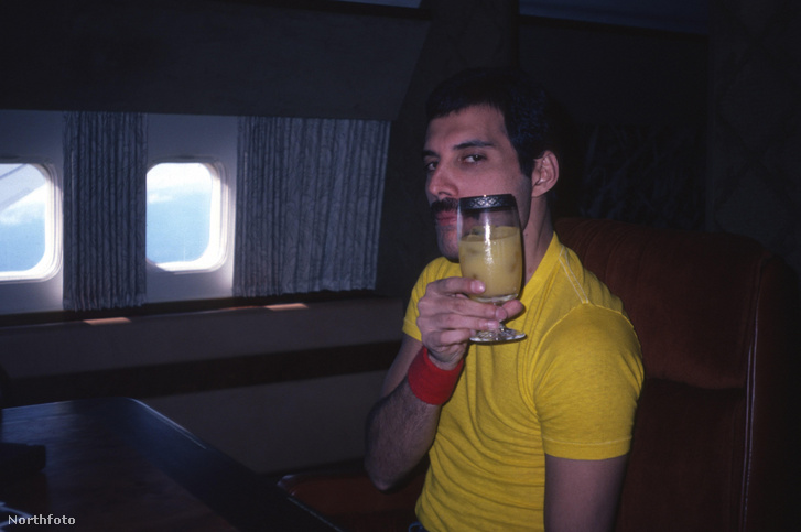 „Egészség!” – Freddie, ahogy épp leszállnak a L.A.-ből érkező repülővel.