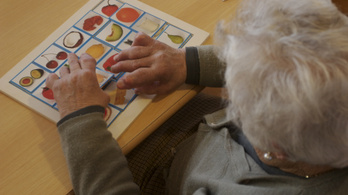 Áttörést hozhat egy felfedezés az Alzheimer- és a Parkinson-kór kezelésében